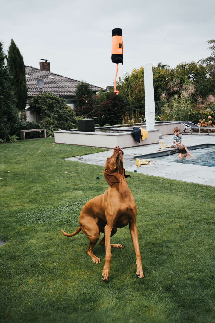 HUNTER Trainer-Snack Dummy mit Seil